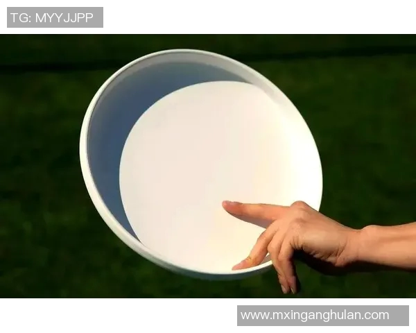 从零起步掌握飞盘技巧与力量训练的全面指南