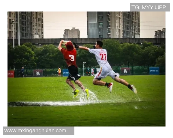 上海飞盘队的团队协作探索与飞盘运动的魅力结合